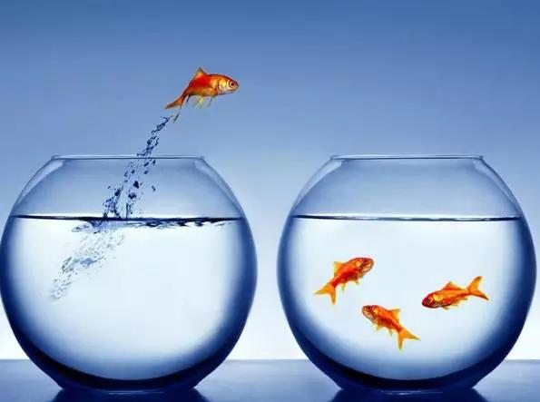 你为什么穷的答案视频,你为什么穷完整版