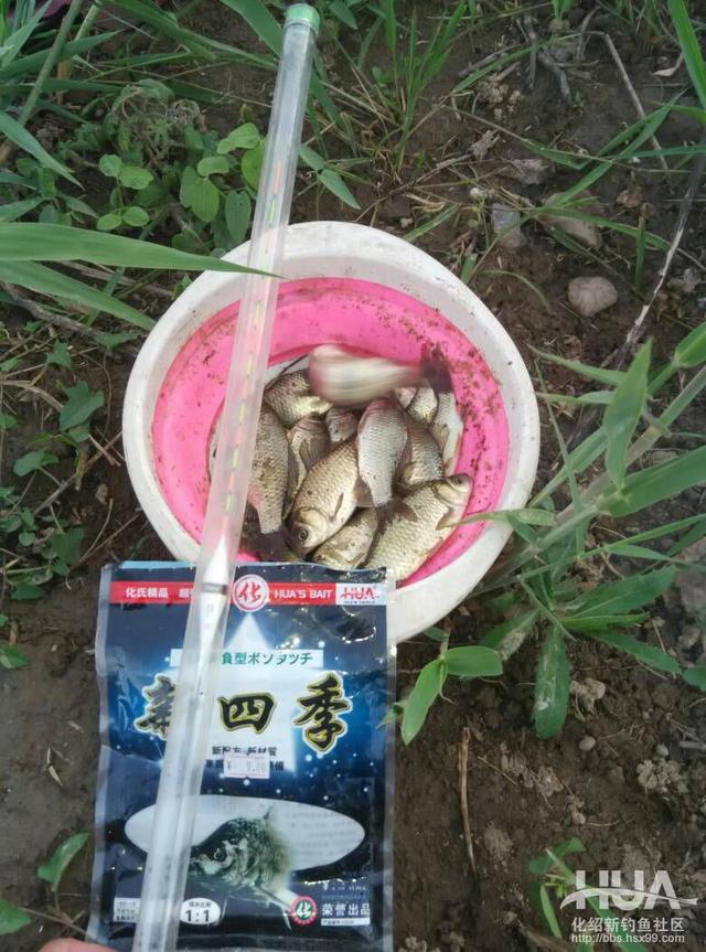 一味浮漂和小凤仙浮漂哪家的好,一味浮漂多少钱一个