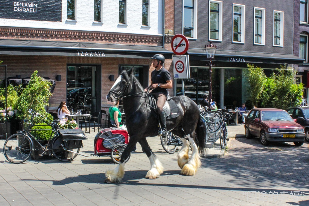 荷兰各种各样的自行车,荷兰的自行车有多高
