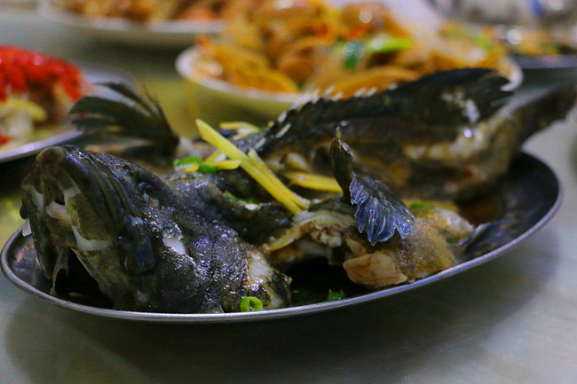 用味蕾感受爱情的酸甜苦辣,用味蕾感受美食独特的魅力