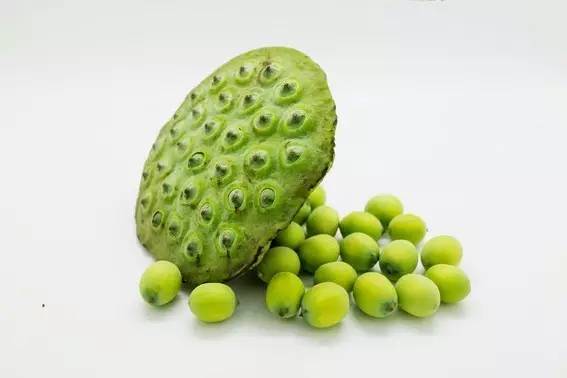 植物果实怎么分类,植物果实的分类