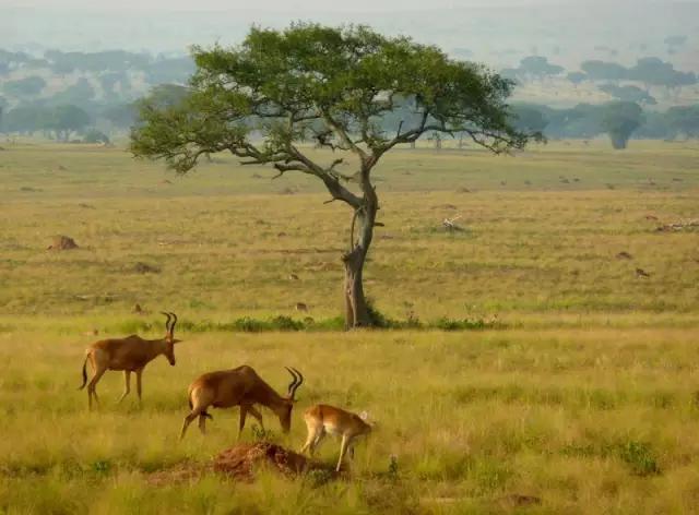 世界自然美景旅游景点,世界自然风景排名