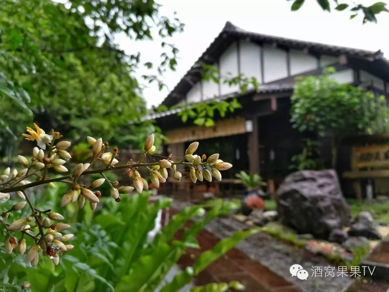 加勒比邮轮之旅,游轮畅游加勒比海