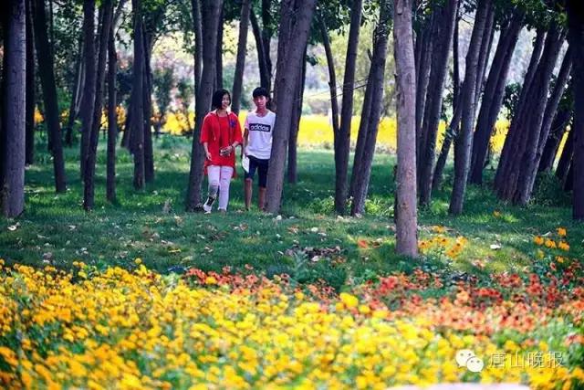 唐山最美风景图片大全,唐山画廊在哪里