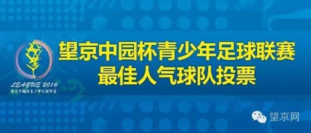 北京比较出名的青少年足球俱乐部,北京排名前十的青少年足球俱乐部