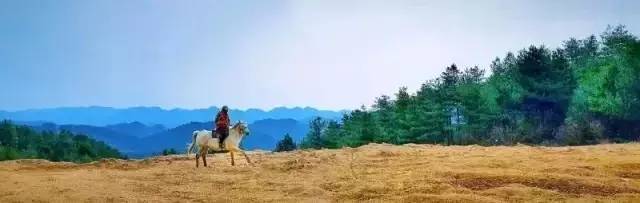 广元市天立国际学校如何,广元天立国际学校是封闭式管理吗