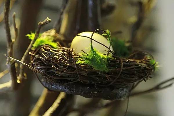 又要火了！这位帅气壮男，在宁波开了一家餐厅！女食客都疯狂了