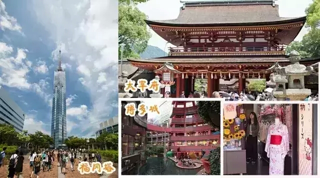 这个暑假带你一起去看海,这个暑假带你去旅行