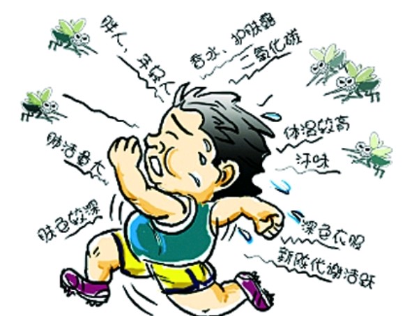 搜索夏天驱蚊止痒的药水,夏季必备驱蚊止痒神器