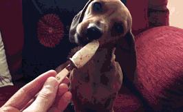 小暑消暑宜稍安勿躁,小暑避暑方法