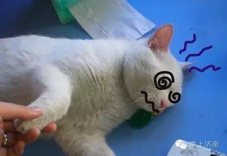 娴庡崡璇氬熀涓績鐜板湪濂藉悧,娴庡崡璇氬熀涓績鑴忎贡宸殑鍘熷洜