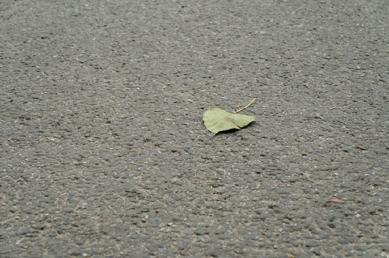 天上掉轮胎,倍耐力新p1轮胎测评视频