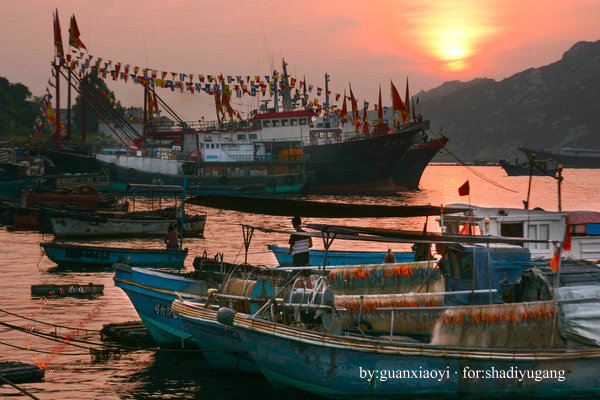 别让水印成为尴尬－摄影早自习第84日