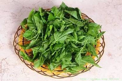 夏季感冒怎么办?