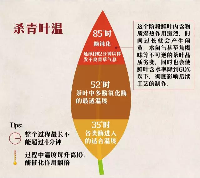 怎样判断杀青温度过高,杀青是高温好还是低温好