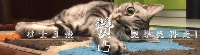 葡萄牙c罗受伤夺冠化茧成蝶,葡萄牙比赛c罗受伤