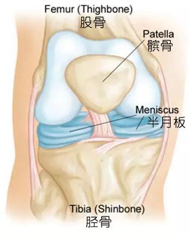 葡萄牙c罗受伤夺冠化茧成蝶,葡萄牙比赛c罗受伤