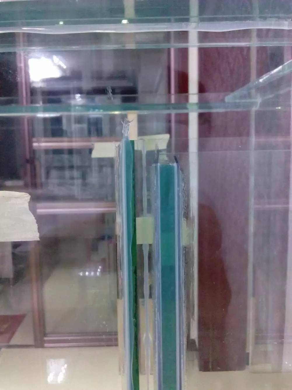 没养鱼有油膜,没养鱼只是在岸上走