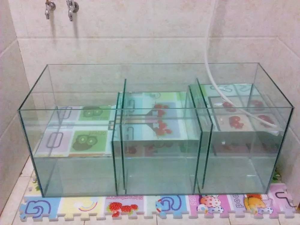 没养鱼有油膜,没养鱼只是在岸上走