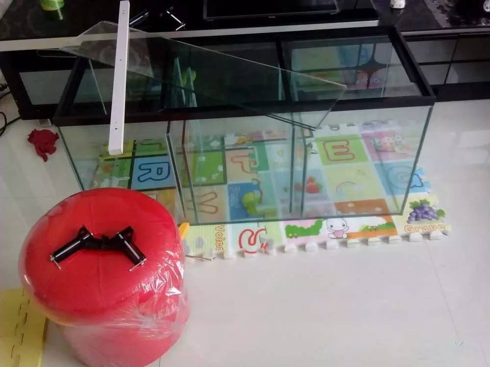 没养鱼有油膜,没养鱼只是在岸上走