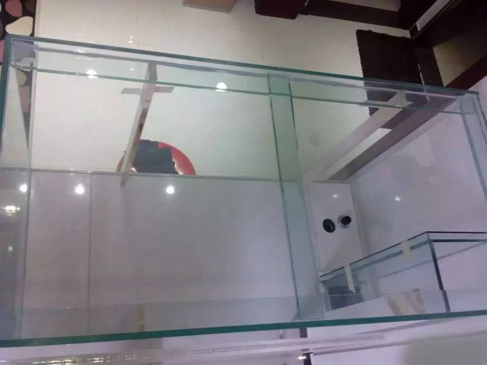 没养鱼有油膜,没养鱼只是在岸上走