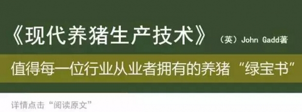 猪早期妊娠诊断的原理,猪生殖系统在孕期的主要变化