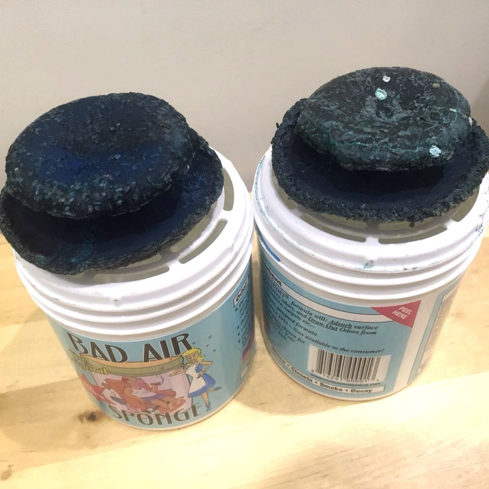 长这么丑怎么会有人喜欢,长这么丑会有人喜欢吗