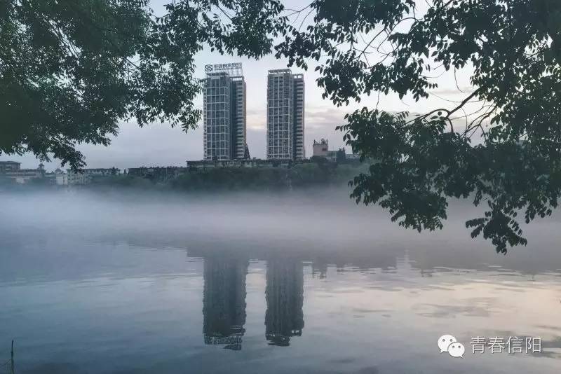 镜头下的信阳浉河区,信阳浉河区美丽景象