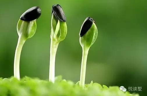 夜读一个人的教养都藏在细节里,夜读对待生命要认真