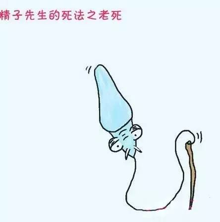 小蝌蚪死了该怎么救活,小蝌蚪的死因