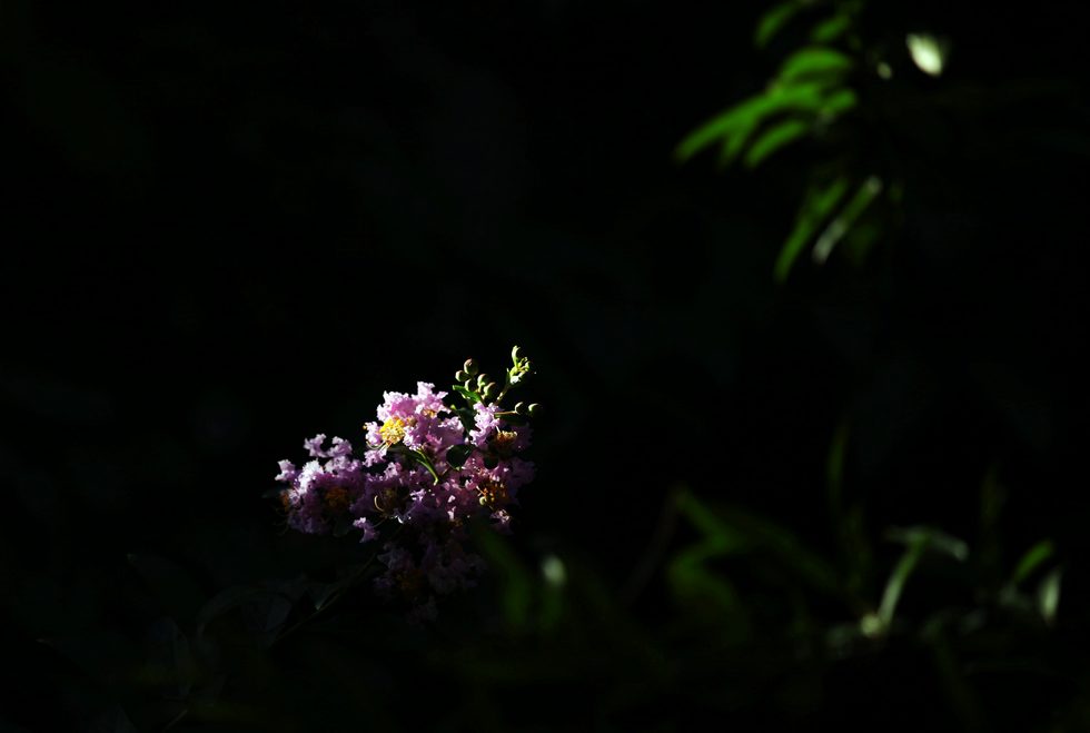 山水游记人生感悟,天心区山水印象