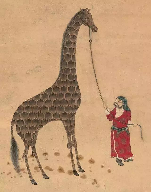 孩子喜欢的动物园,孩子喜欢的动物你绝对想不到