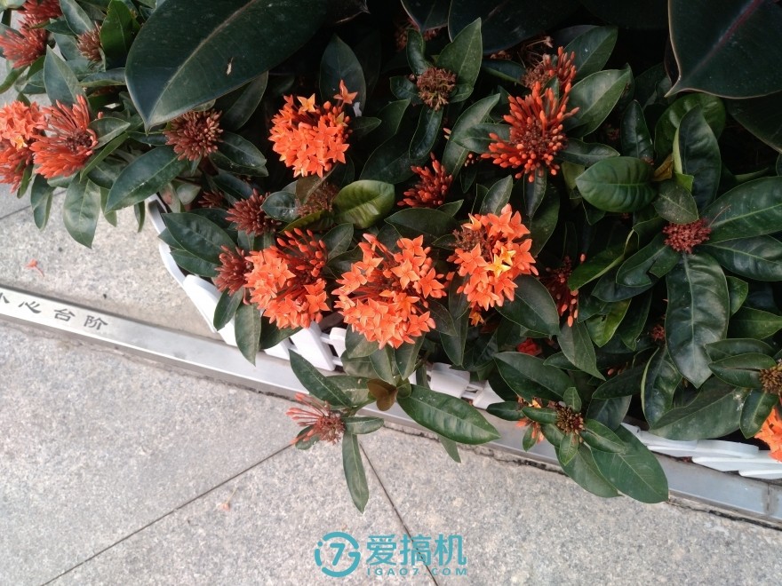 乐max2优缺点,乐max2缺点