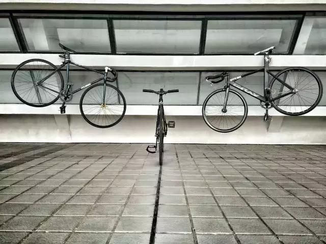 优秀手机摄影作品的五个要素,手机拍的作品