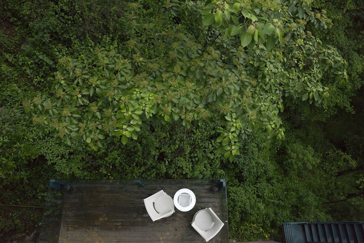 「隐庐」大隐于同里结庐在人境｜库live探店