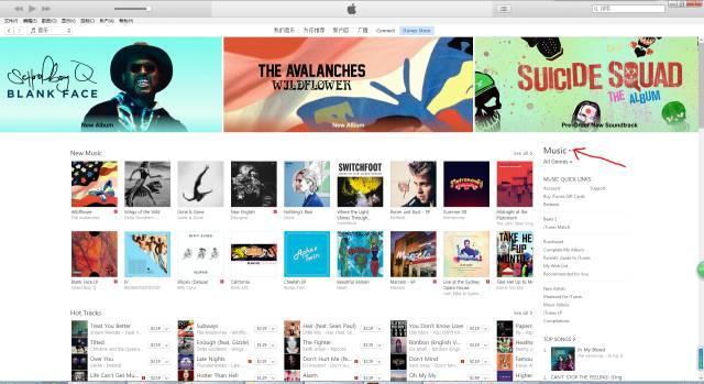 苹果账号pokemongo电脑怎么玩,pokemongo怎么注册苹果