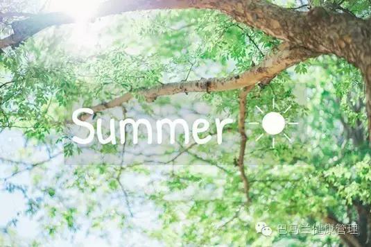 铁皮石斛夏季养生,铁皮石斛与养生