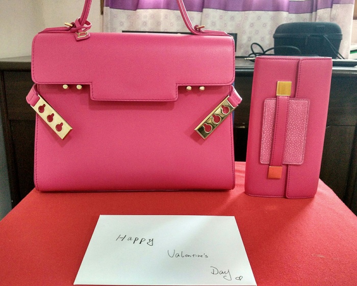 半年她居然集齐了这多款大牌包,看见喜欢的像着了迷