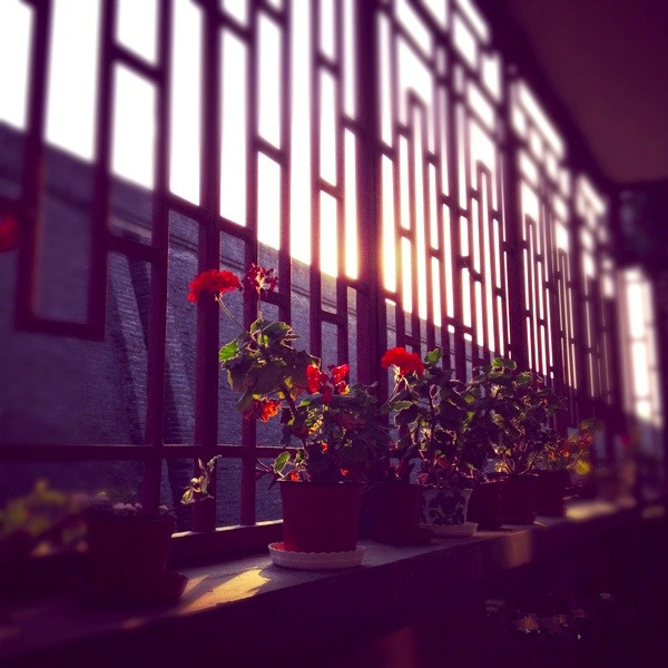 如何成为一个成熟的西安人,怎样成为一个西安人