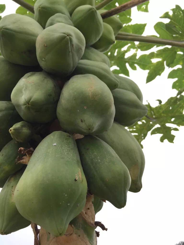 被遗忘的海南,海南被遗忘的浪漫之地