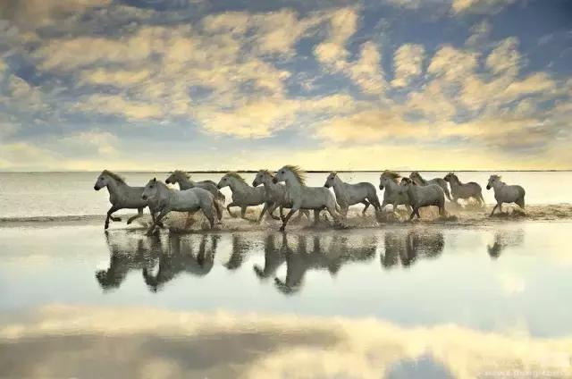 中国历史上的铁木真 (铁木真历史记)