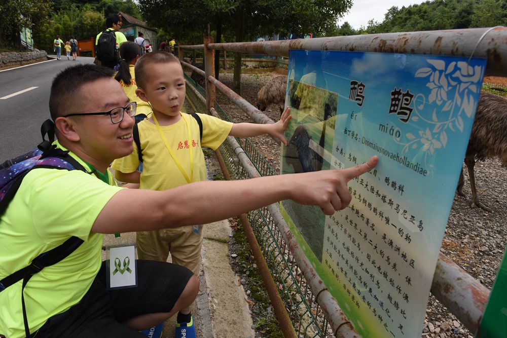 50名耳障儿童游贵阳野生动物园边看动物边学发音