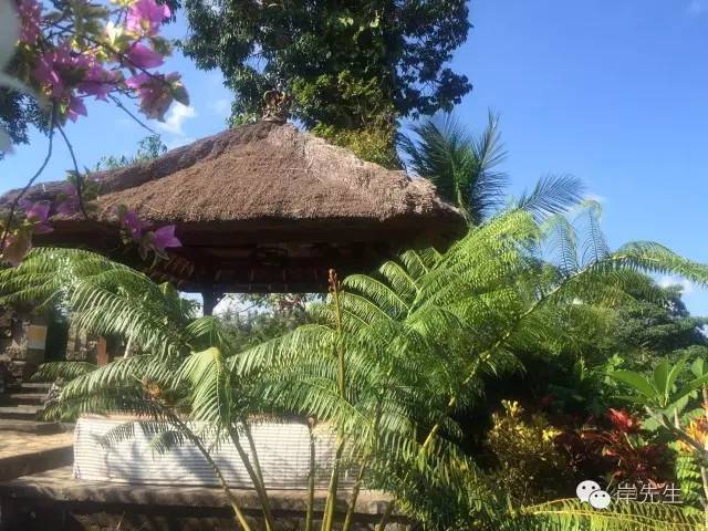 巴厘岛小众一日游,巴厘岛旅游攻略spa