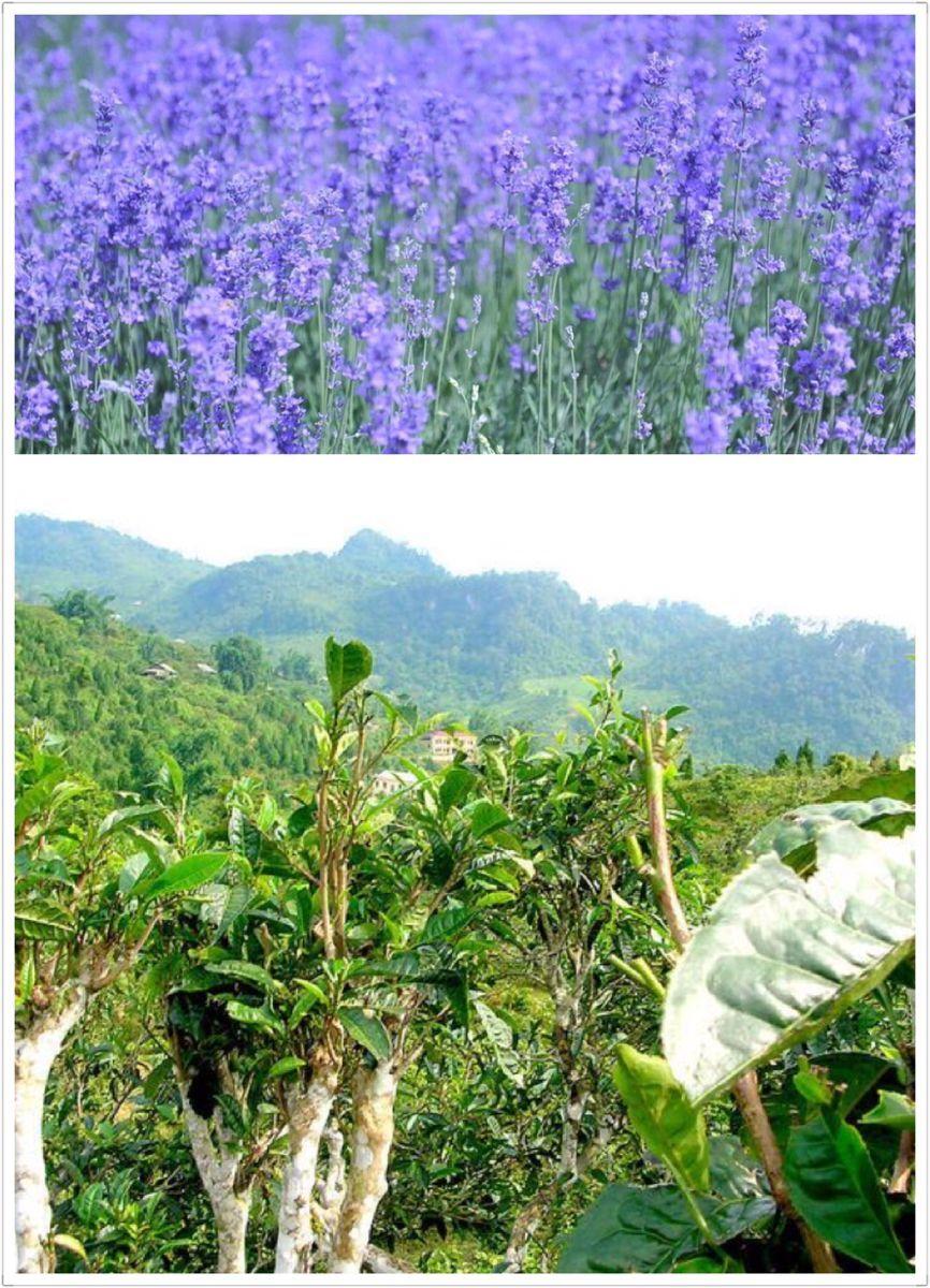 皮肤暗黄长痘长斑怎么调理,皮肤黄暗沉长痘如何零成本改善