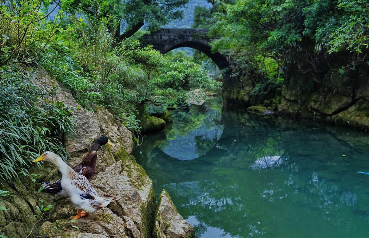 一辆车一家三口出去玩,一辆车带你旅行