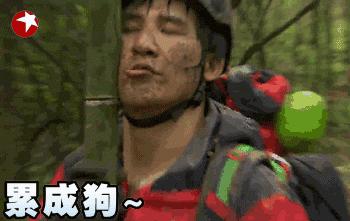 投票看谁唱得好,投票看谁的票数高