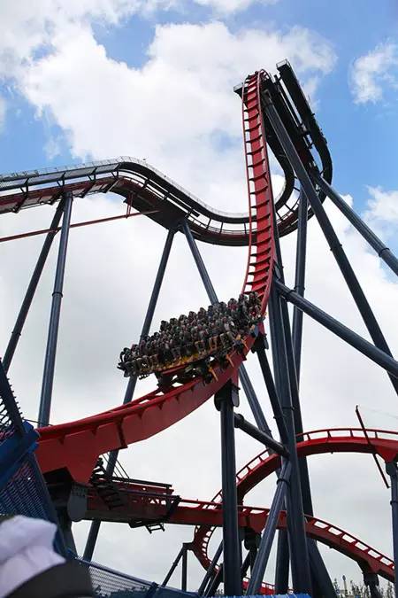 上海松江哪里好玩又免费的,六月松江游玩路线攻略