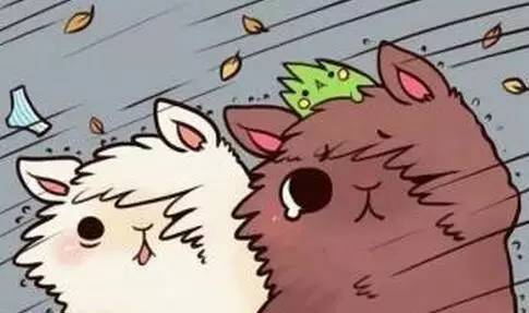 最强的一号台风尼伯特,台风尼伯特近况