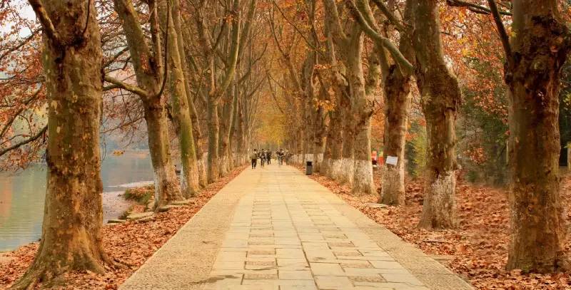 成都自驾贵州广西深度游攻略,江西去贵州自驾旅游攻略图