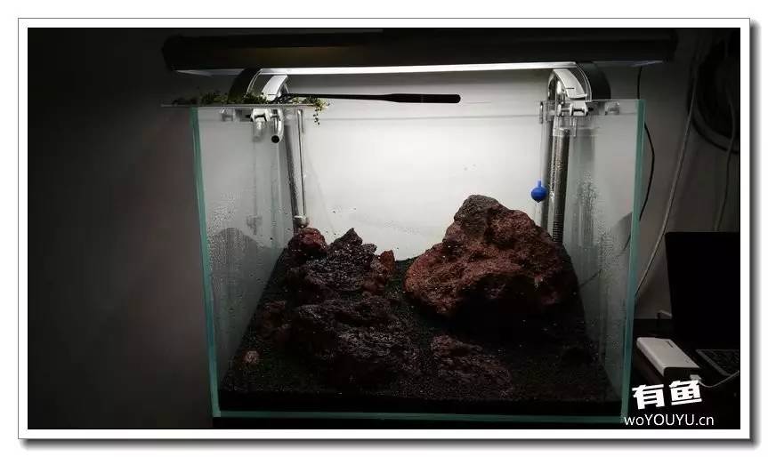 新手小白原生缸开缸教程,鱼缸怎么用高锰酸钾开缸详细教程